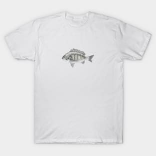 black porgy T-Shirt